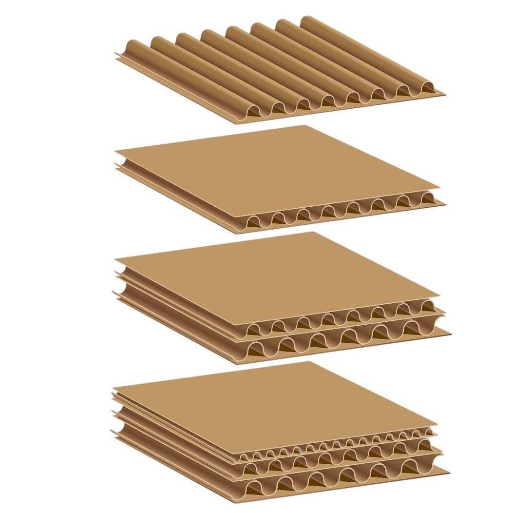 cardboard tray